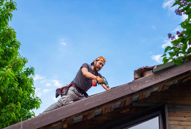 Best Skylight Installation and Repair  in New Haven, CT